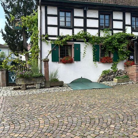Exklusive Maisonette-Wohnung Am Rande Von Freiburg Merzhausen Ngoại thất bức ảnh